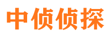 洛龙市侦探公司